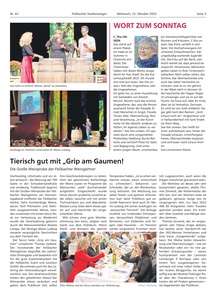 Stuttgarter Zeitung Prospekt - Fellbacher Wochenblatt KW 42_2025