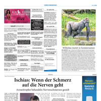 Stuttgarter Zeitung Prospekt Seite 6
