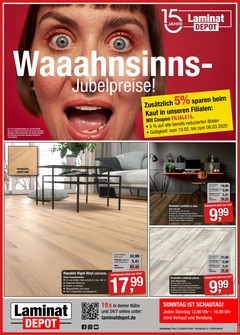 Laminat DEPOT Prospekt - Waaahnsinns Jubelpreise!