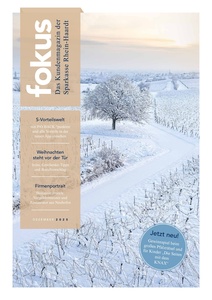 Sparkasse Rhein-Haardt Prospekt - Fokus Magazin