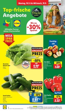 Lidl Prospekt - Beste Auswahl immer günstig