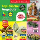 Lidl Prospekt Seite 2