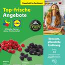 Lidl Prospekt Seite 2