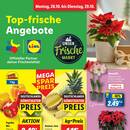 Lidl Prospekt Seite 2