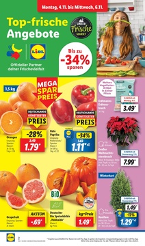 Lidl Prospekt - Herbstliche Mode