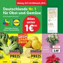 Lidl Prospekt Seite 13