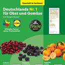 Lidl Prospekt - Obst & Gemüse