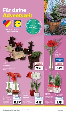 Lidl Prospekt - Magische Weihnachtzeit