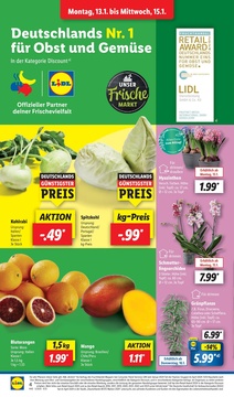 Lidl Prospekt - Angebote ab 13.01.