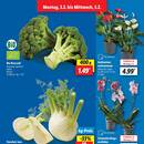 Lidl Prospekt Seite 3