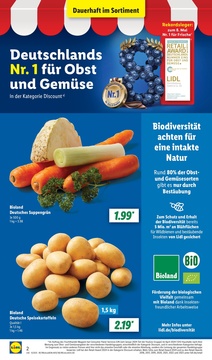 Lidl Prospekt - Angebote ab 24.02.