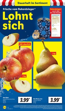 Lidl Prospekt - Lohnt sich