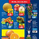 Lidl Prospekt - Obst & Gemüse