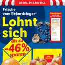 Lidl Prospekt - Obst & Gemüse