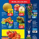 Lidl Prospekt Seite 3