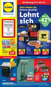 Lidl Prospekt - Lohnt sich