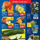 Lidl Prospekt Seite 3