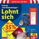 Lidl Prospekt Seite 2
