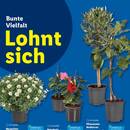 Lidl Prospekt Seite 6