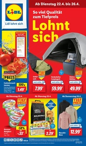 Lidl Prospekt - Lohnt sich