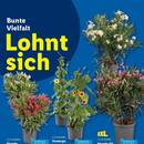 Lidl Prospekt Seite 5