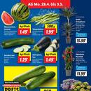 Lidl Prospekt Seite 3
