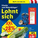 Lidl Prospekt Seite 46