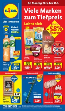 Lidl Prospekt - Viele Marken zum tiefpreis