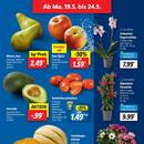 Lidl Prospekt Seite 3