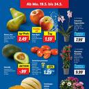 Lidl Prospekt Seite 3