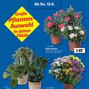 Lidl Prospekt Seite 9