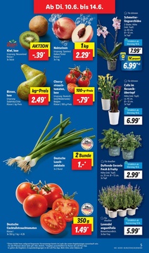 Lidl Prospekt - Angebote ab 10.06.