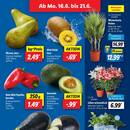 Lidl Prospekt Seite 5