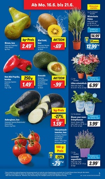 Lidl Prospekt - Angebote ab 16.06.