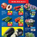 Lidl Prospekt Seite 3