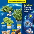 Lidl Prospekt Seite 3
