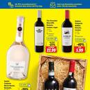 Lidl Prospekt - Handy & Smartphone