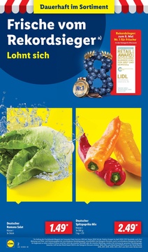 Lidl Prospekt - Viele Marken zum Tiefpreis