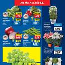 Lidl Prospekt Seite 3