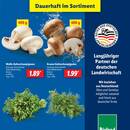 Lidl Prospekt Seite 3
