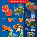Lidl Prospekt Seite 3