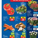Lidl Prospekt Seite 3