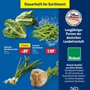 Lidl Prospekt - Obst & Gemüse