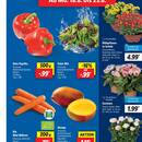 Lidl Prospekt Seite 3