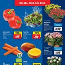 Lidl Prospekt Seite 3