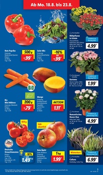 Lidl Prospekt - viele Marken zum Tiefpreis