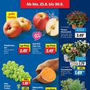 Lidl Prospekt Seite 5