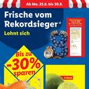Lidl Prospekt Seite 4