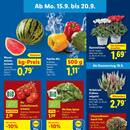 Lidl Prospekt Seite 3