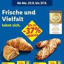 Lidl Prospekt Seite 10